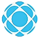 Huko Advisory Services